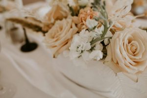 pexels-tara-winstead-6479597